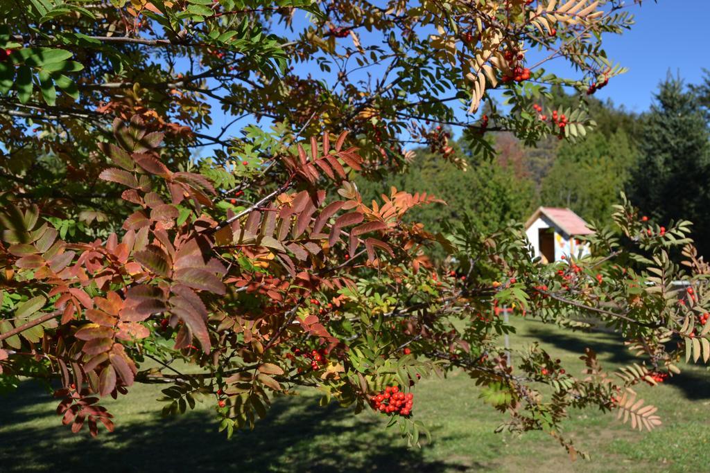 Hosteria Katy San Carlos de Bariloche Exterior photo